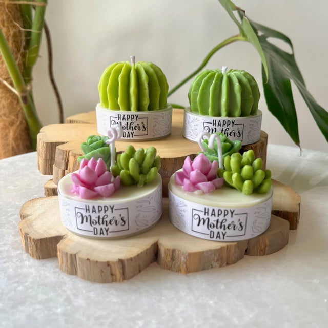 Succulent Terrarium candles | Succulent Social AU
