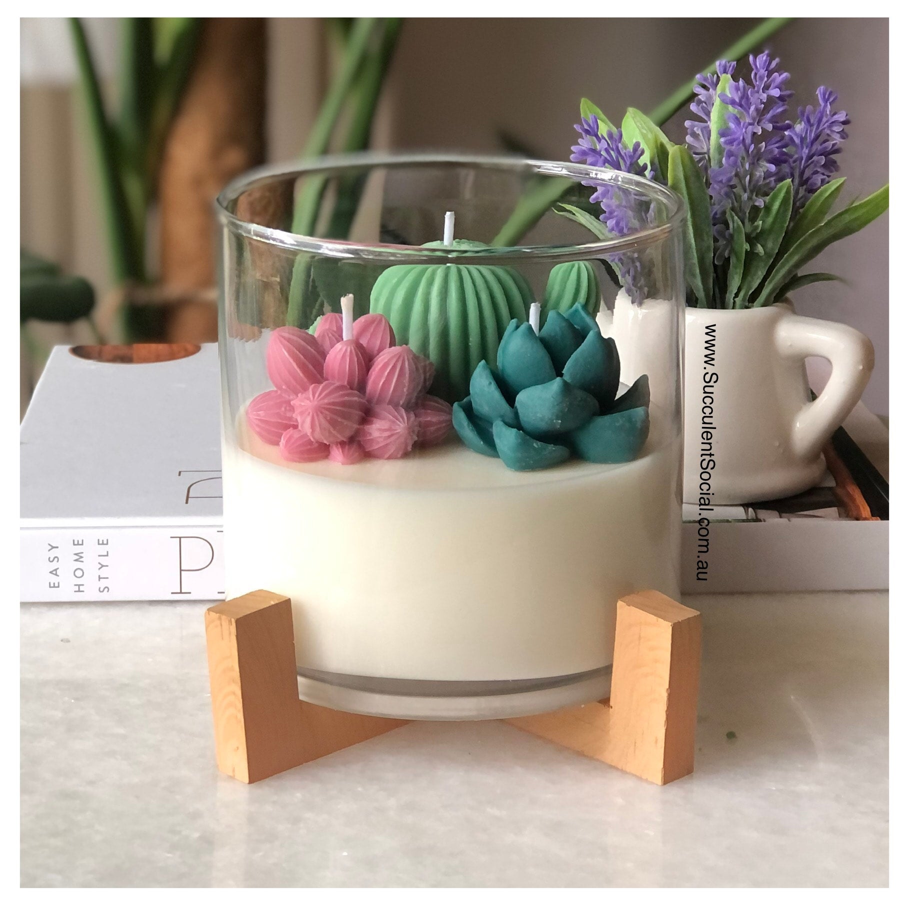 Succulent Terrarium Candle | Succulent Social AU