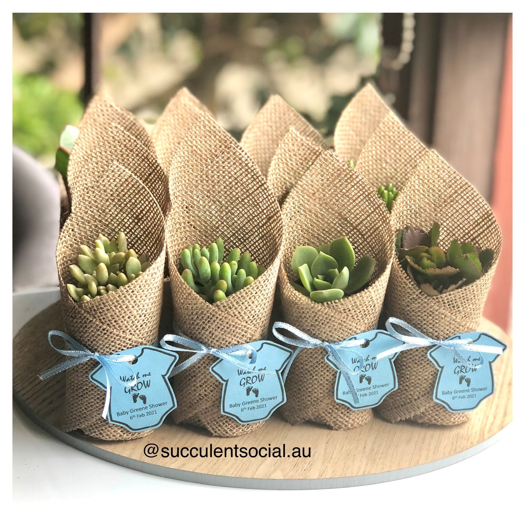 Succulent baby nursery cheap